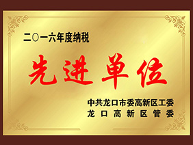 納稅先進單位2016